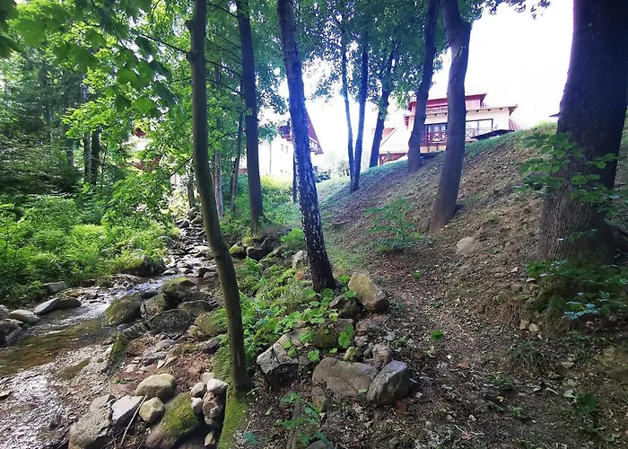 Wonder - Dom Blisko Centrum, Tuz Przy Stoku I Restauracji 民宿 卡尔帕奇